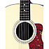 110GB Taylor