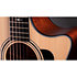 314ce + Etui Taylor