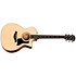 314ce + Etui Taylor