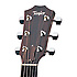 410CE Taylor