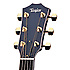 614CE Taylor