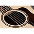 814Ce + Etui Taylor
