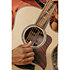 814Ce + Etui Taylor