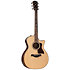 814Ce + Etui Taylor