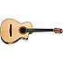 NS42CE Taylor
