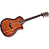 T5 CUSTOM Koa Taylor