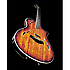 T5 CUSTOM Koa Taylor