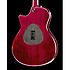 T5 STANDARD Dégradé Rouge Taylor
