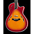 T5 STANDARD Dégradé Miel Taylor