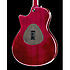 T5 STANDARD Dégradé Miel Taylor