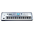 PA1XPRO Korg