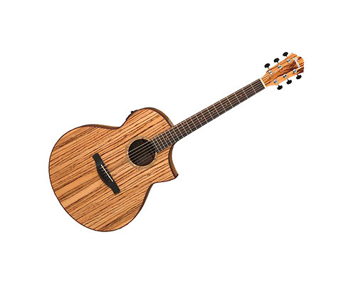 Ibanez AEW40ZW-NT