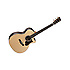 GPCPA4 Rosewood Martin Guitars
