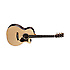 GPCPA4 Rosewood Martin Guitars