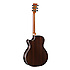 GPCPA4 Rosewood Martin Guitars
