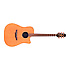 TAN10C Reissue Takamine