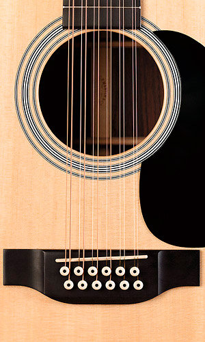 D12-28 Martin Guitars