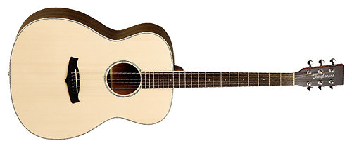 Tanglewood Premier Exotic TPE F ZS