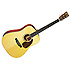 D-16RGT Martin Guitars