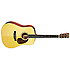 D-16RGT Martin Guitars