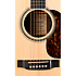 D-16RGT Martin Guitars