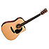 DC-16GTE Martin Guitars
