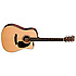 DC-16GTE Martin Guitars