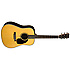 HD-16R Adirondack Martin Guitars