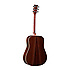 D-35E Martin Guitars
