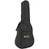 LX1 Little Martin + Housse Martin Guitars