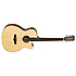 Premier Exotic TPE SFCE DS Tanglewood