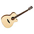 Premier Exotic TPE SFCE ZS Tanglewood