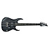 RGIT20FE-TGF Iron Label Ibanez