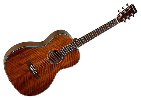 SUNDANCE DELTA TW40PD Tanglewood