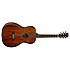 SUNDANCE DELTA TW40PD Tanglewood