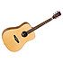 JAVA TWJD Tanglewood