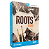 Roots SDX Sticks Toontrack