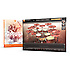 Progressive EZX Toontrack
