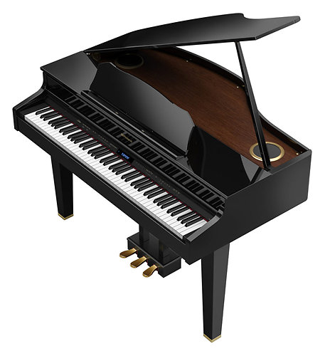 GP607-PE Roland