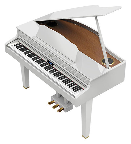 GP607-PW Roland