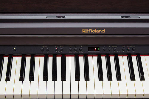 RP501R-CB Roland