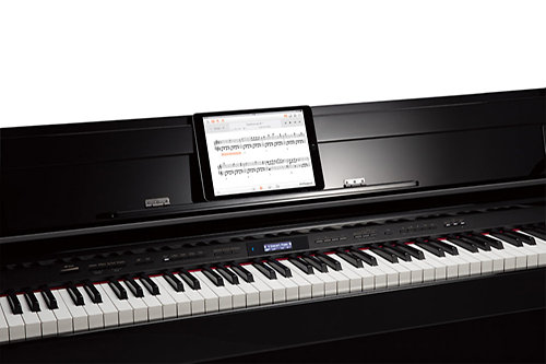 DP603-CB Roland