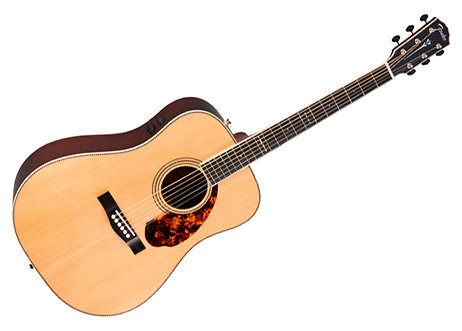 Fender PM-1 Limited Adirondack Dreadnought Rosewood