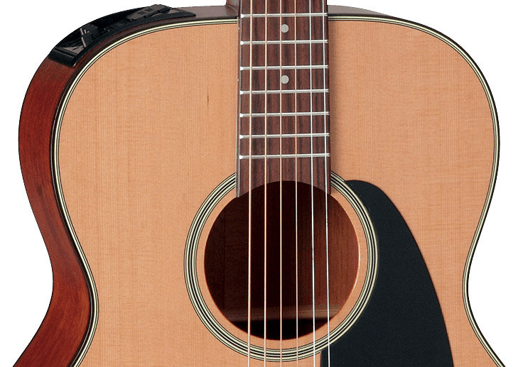 P1M Takamine
