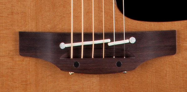 P1M Takamine