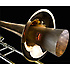 Sourdine trombone basse sèche en bois Denis Wick