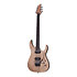 Banshee Elite 6 FR Sustainiac Schecter
