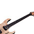 Banshee Elite 6 FR Sustainiac Schecter