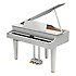 GP607-PW Roland
