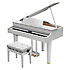 GP607-PW Roland